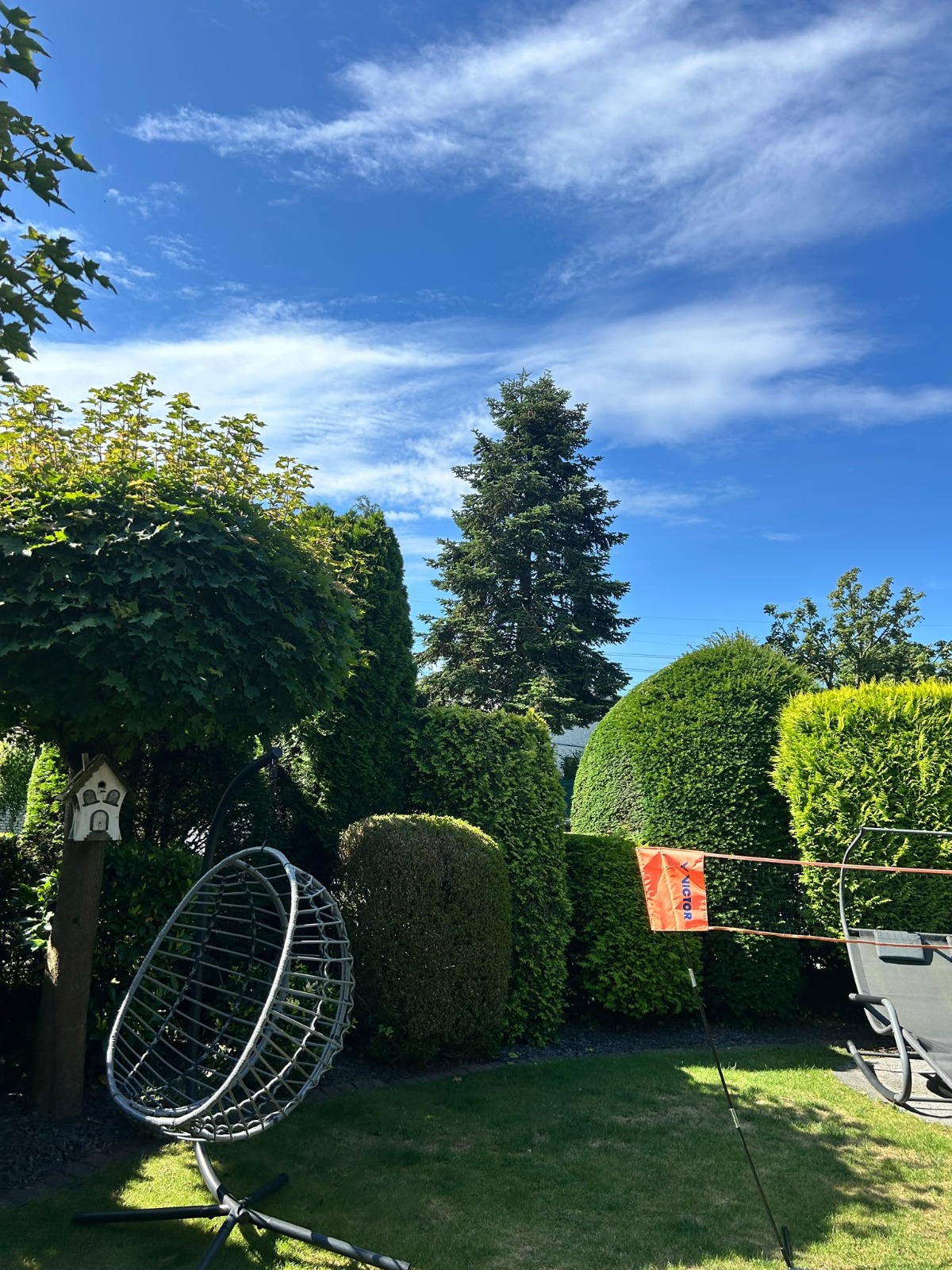 Gepflegter Garten mit geschnittenen Sträuchern