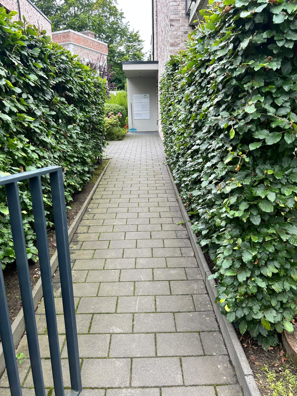 Gereinigter Zugangsweg zwischen Hecken