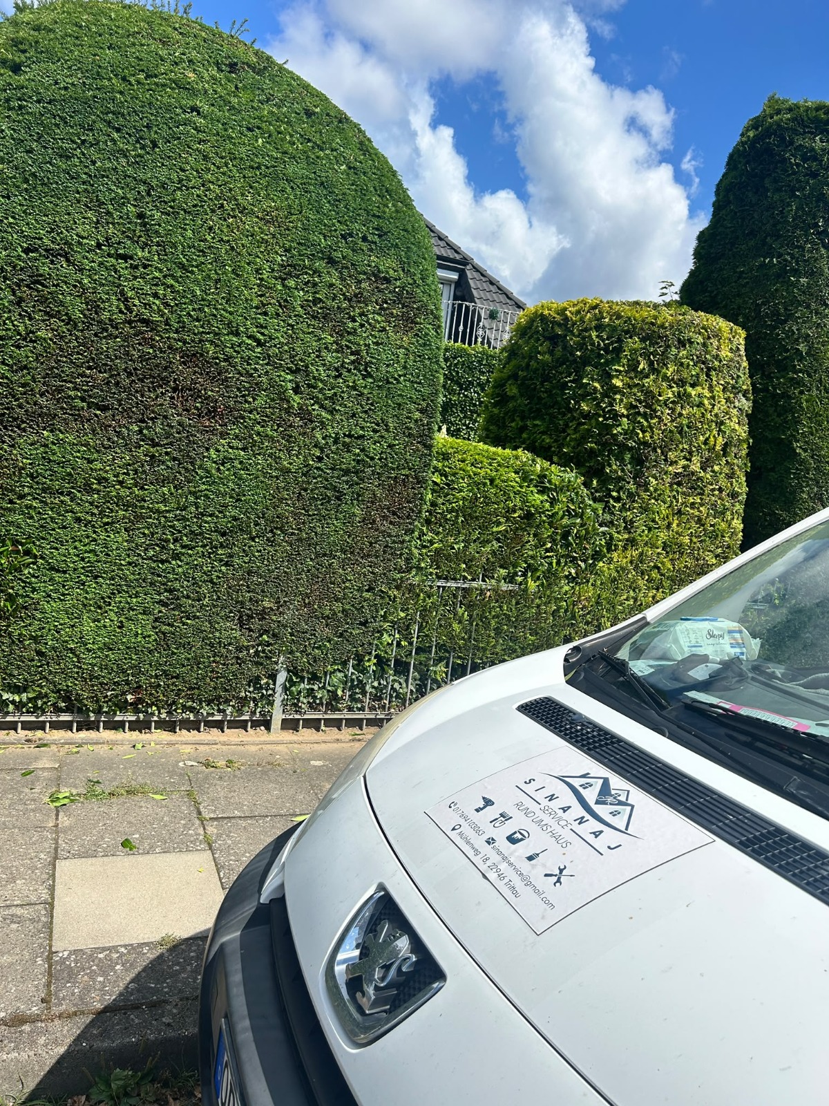 Firmenfahrzeug von Sinanaj Service vor geschnittener Hecke