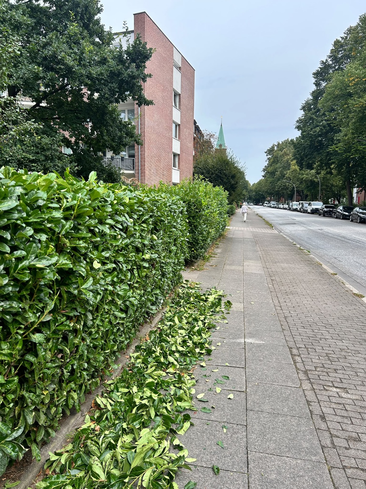 Frisch geschnittene Hecke an einer Wohnanlage